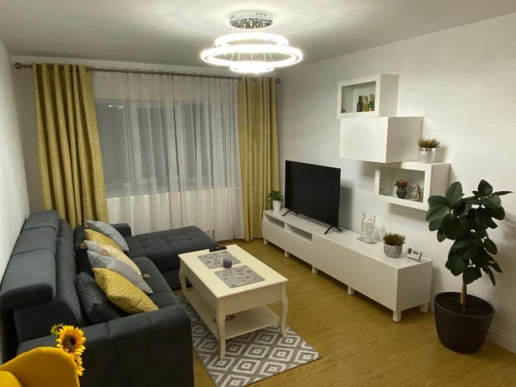 Bucovina View Apartment Câmpulung Moldovenesc Extérieur photo