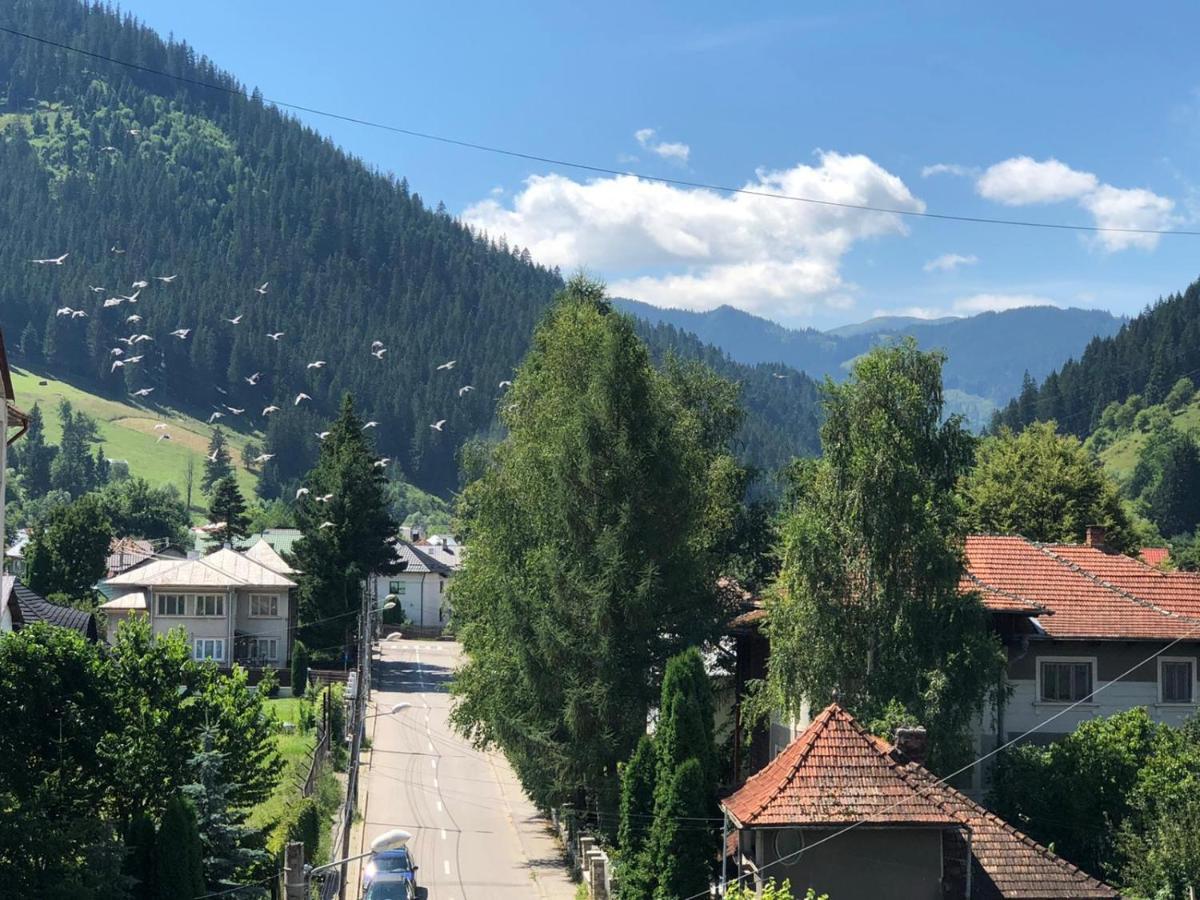 Bucovina View Apartment Câmpulung Moldovenesc Extérieur photo