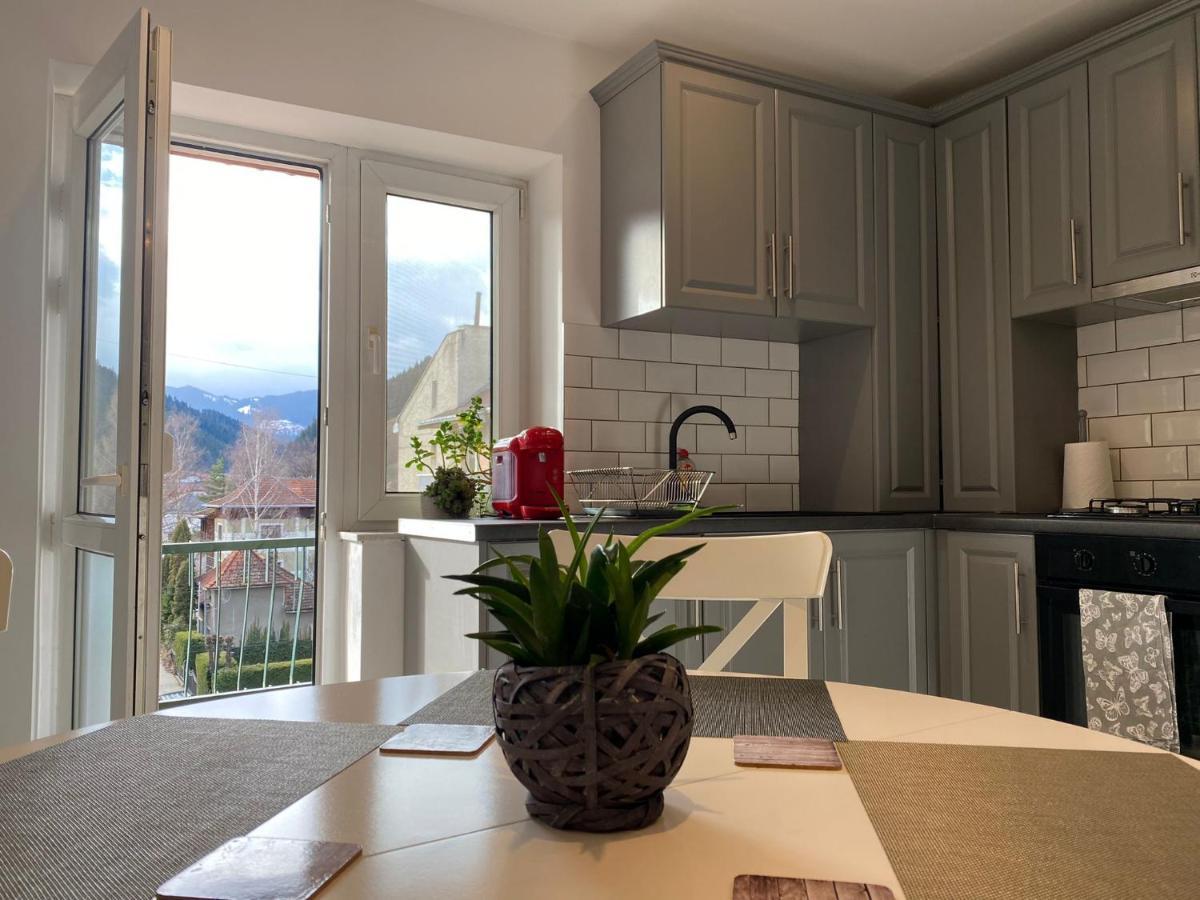 Bucovina View Apartment Câmpulung Moldovenesc Extérieur photo